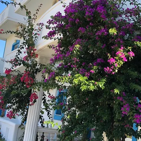 Romantika * Shëngjin